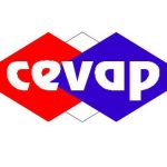 cevap